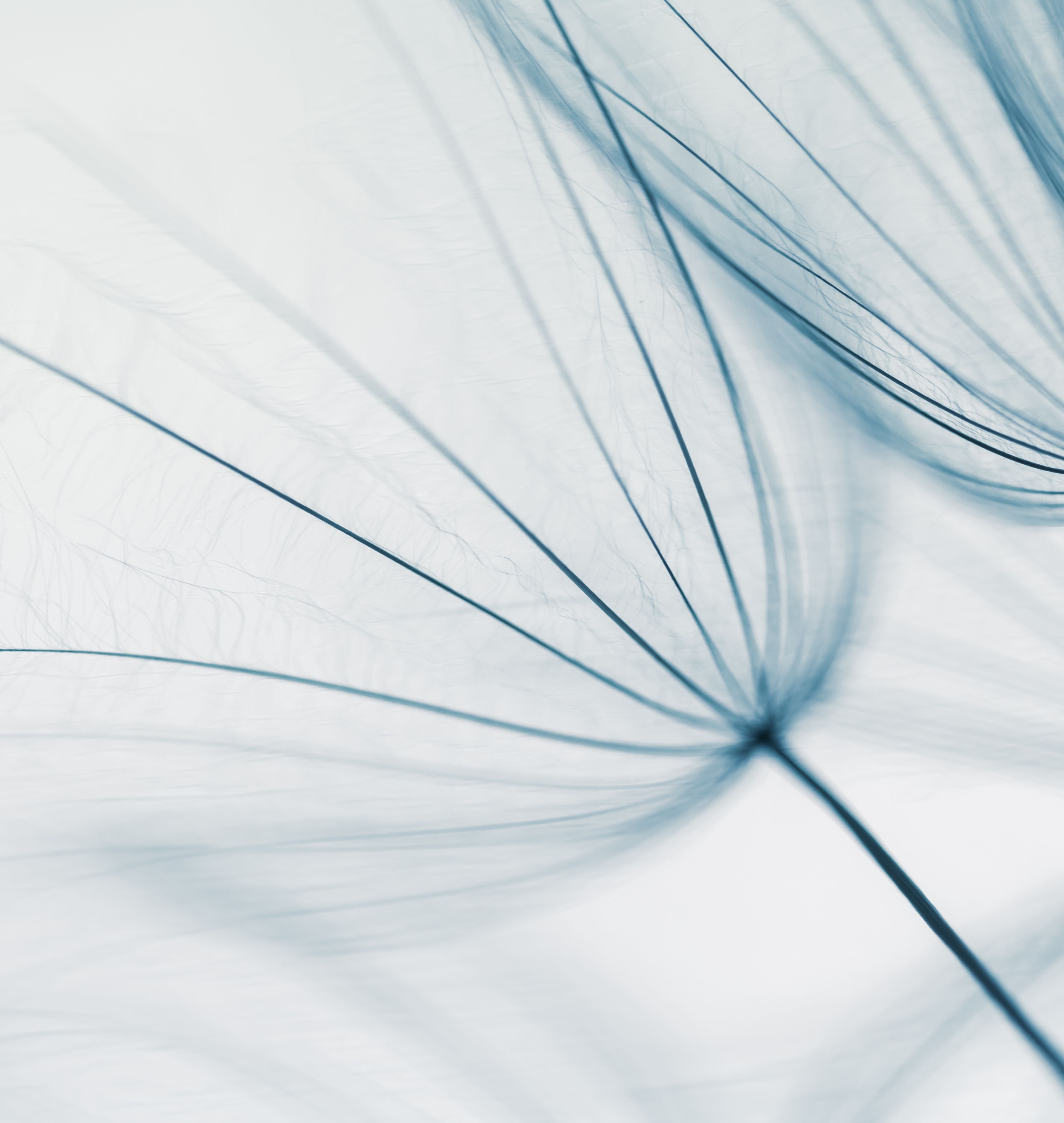 BDK Advokati contributes to Chambers Merger Control 2026 Global Practice Guide