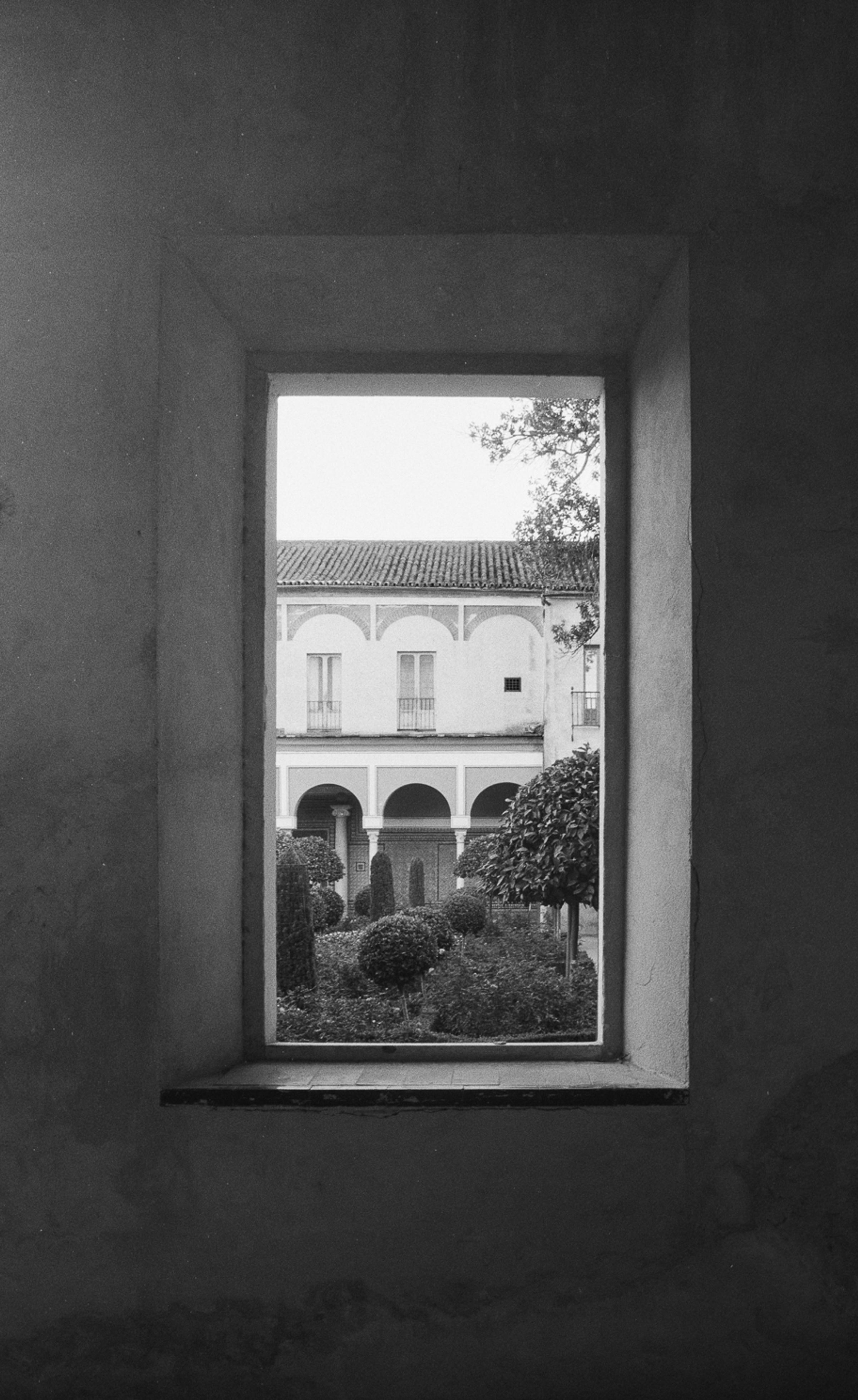 A window view