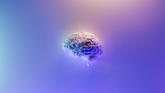 THE SECOND BRAIN: HOW ROAM RESEARCH AND NOTION HELP ME BOOST PRODUCTIVITY?
