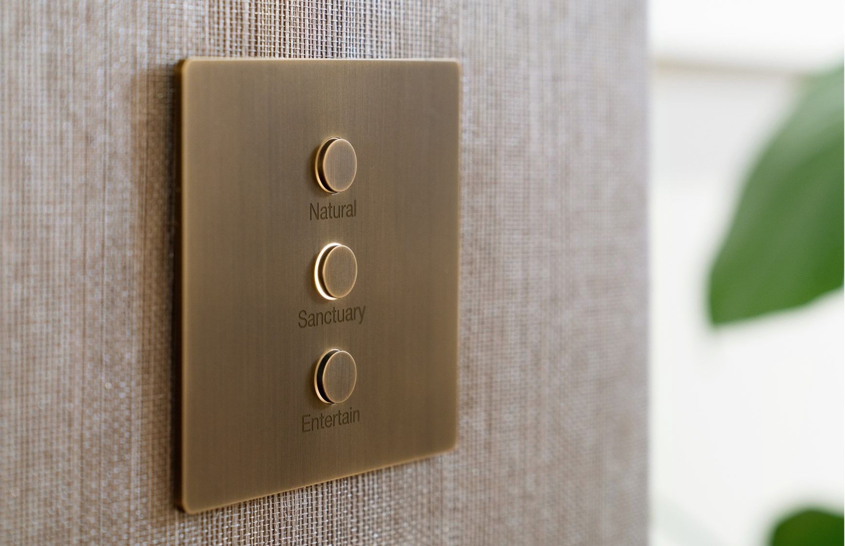 Residential Architectural Solutions - THEA