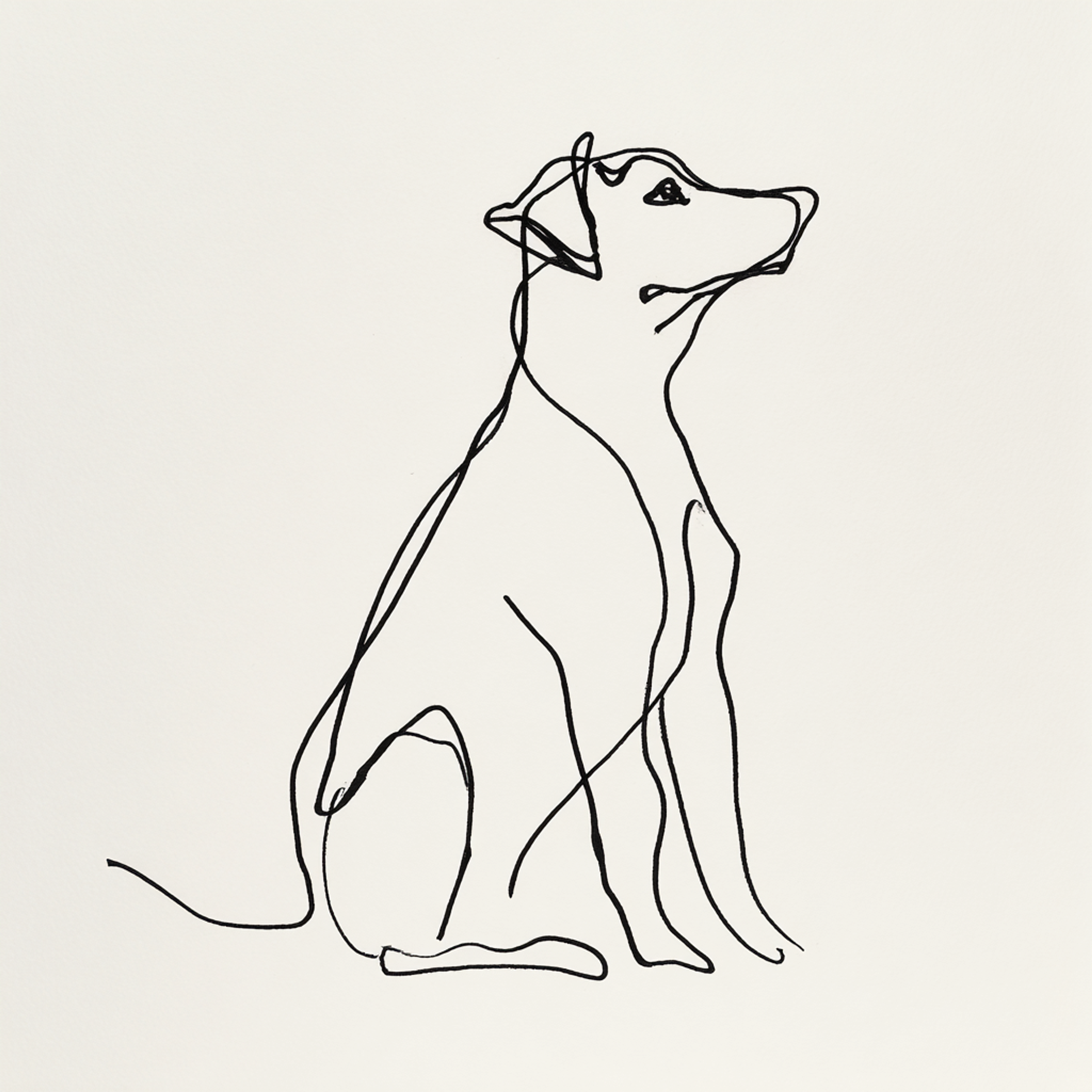 Minimalist Single Line Dog Drawing
