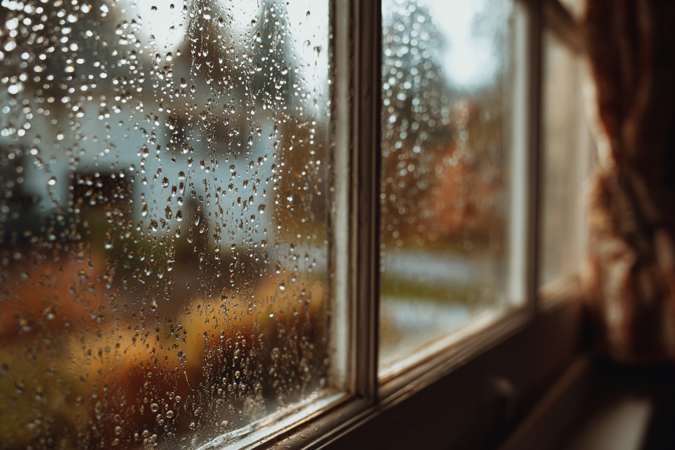 Mindful Raindrops Window Macro Photo