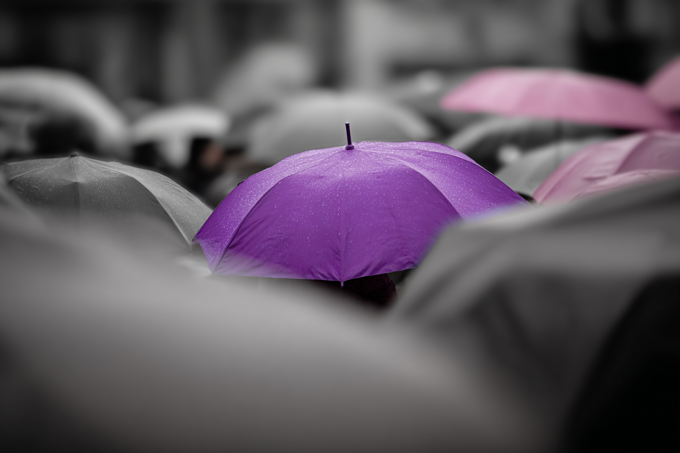 Selective Color Purple Umbrella Photo