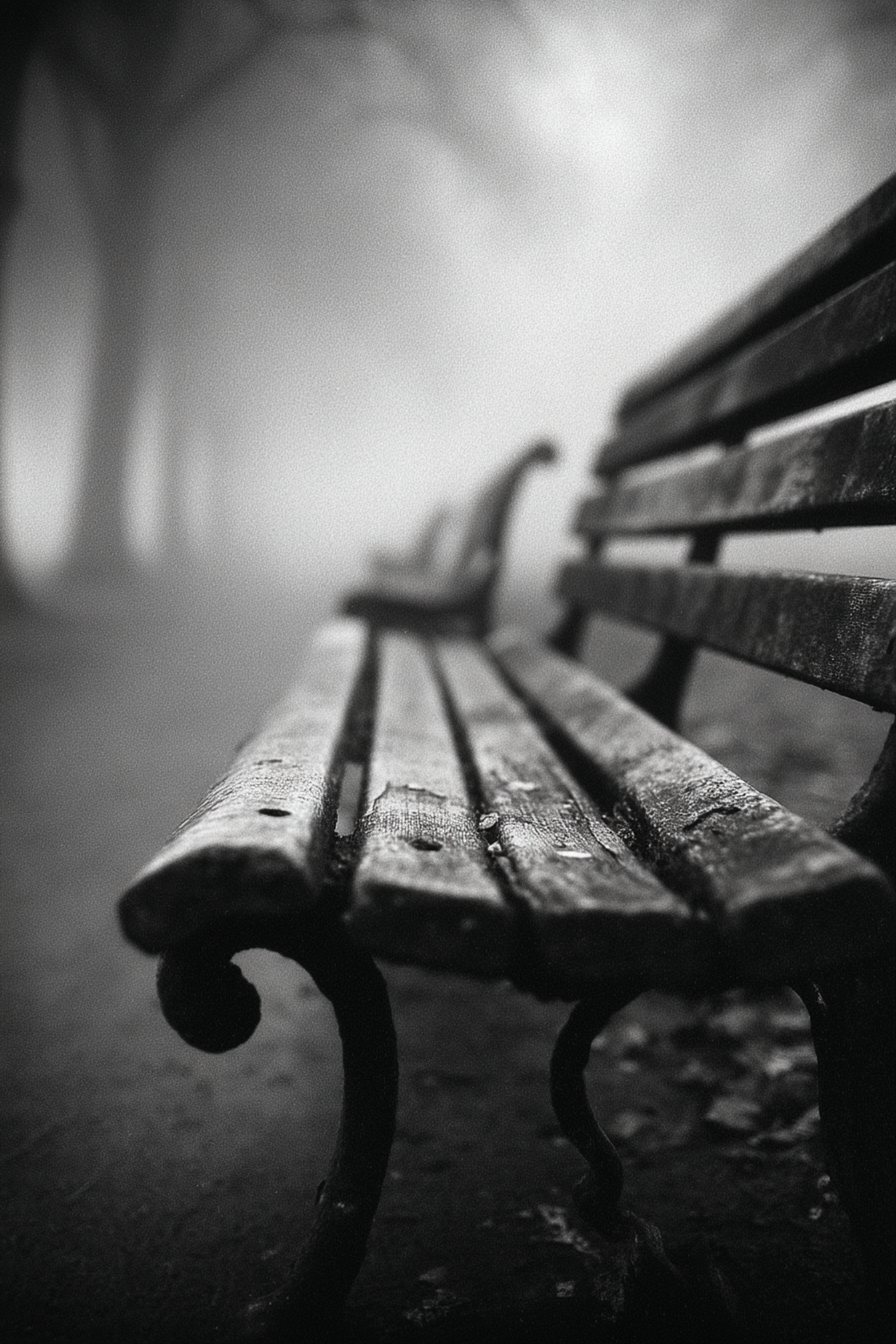 Grainy Black and White Empty Bench Photo