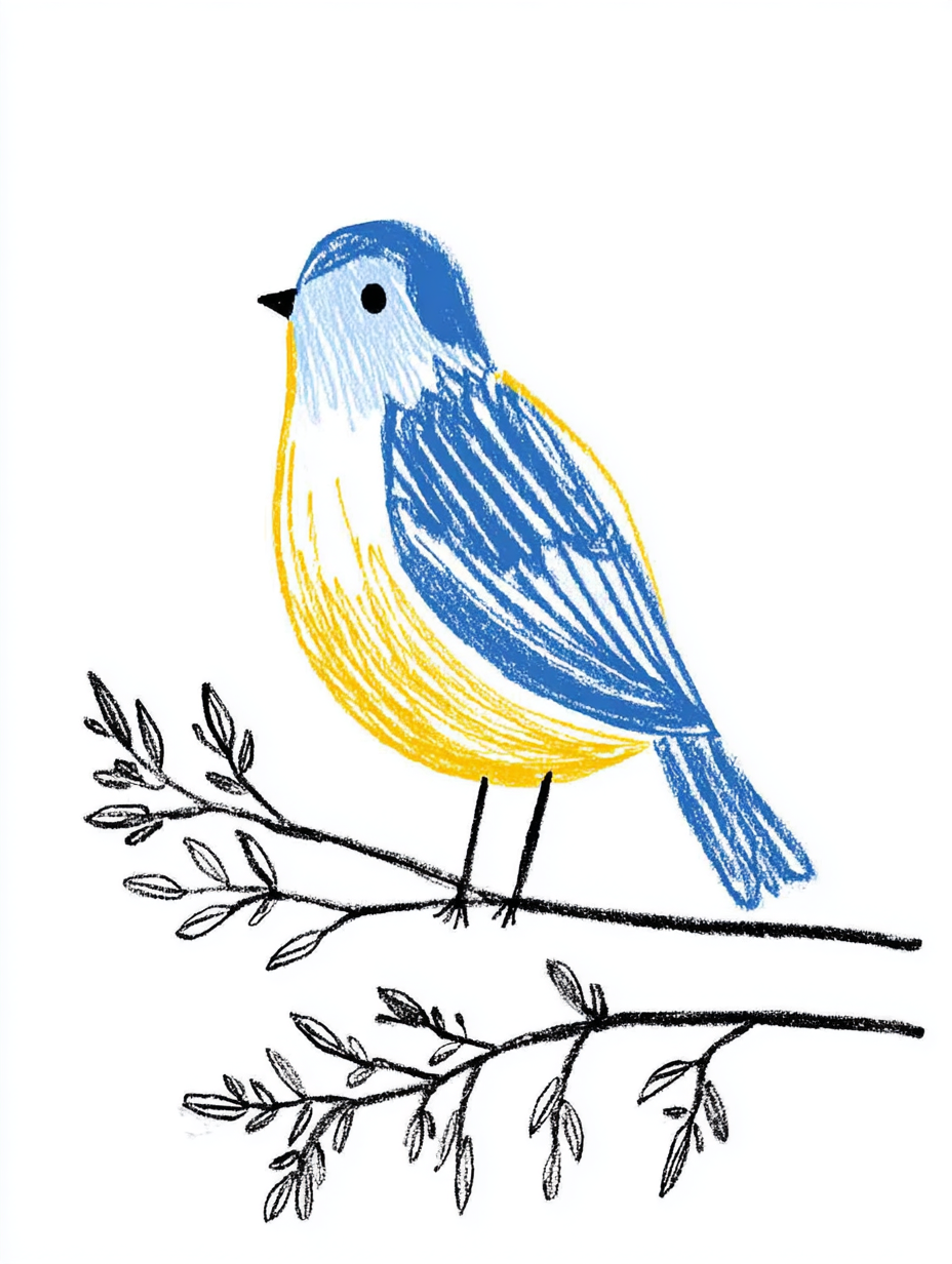 Naive Colored Pencil Bird on Branch Sketch