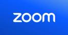 The Zoom logo