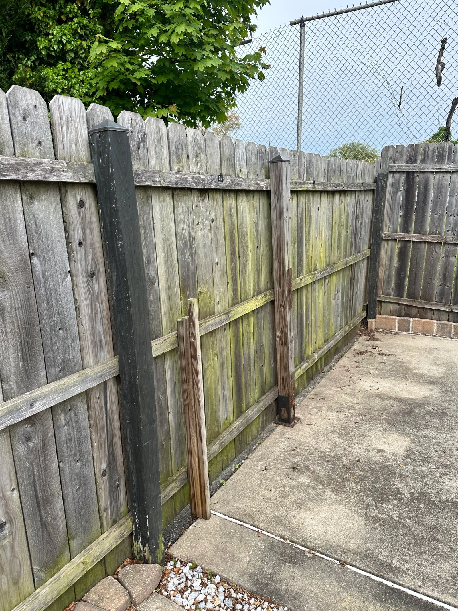 before replacing this old wood fence