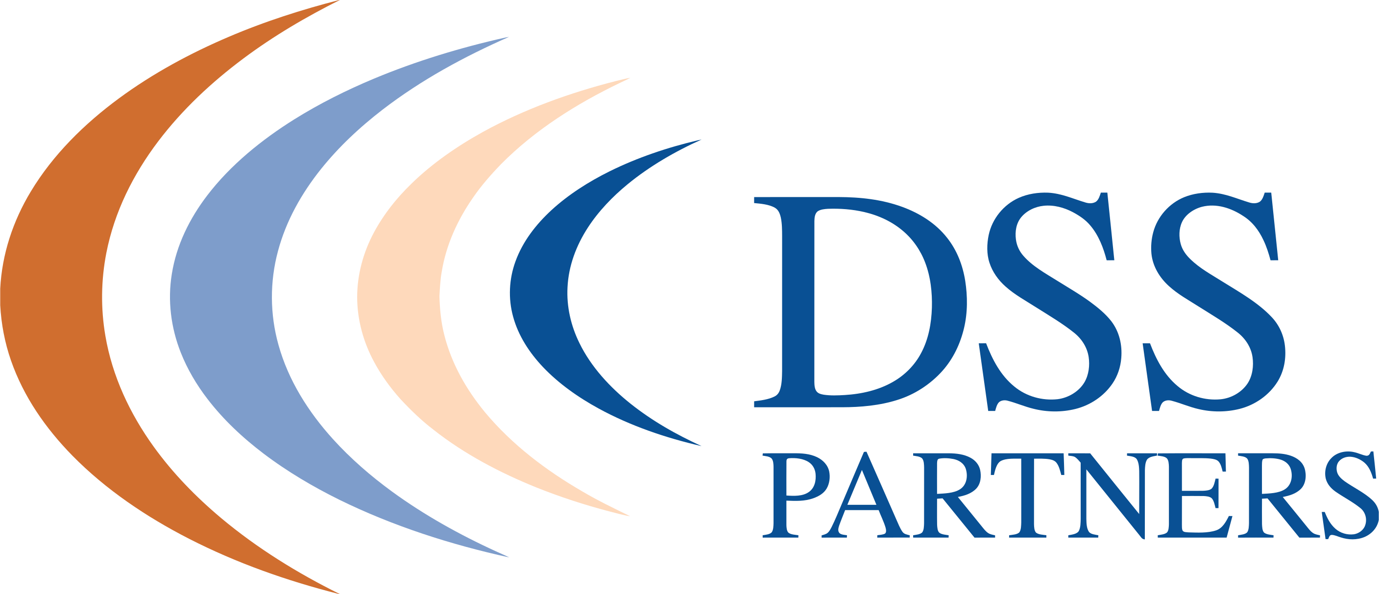 DSS Partners