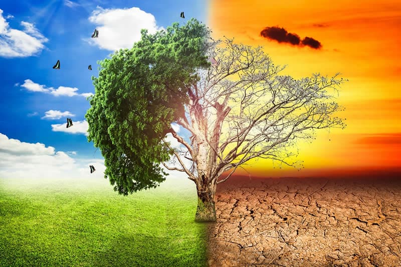 Aforismi sulla morte e frasi di conforto