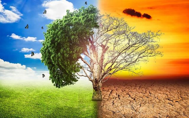 Aforismi sulla morte e frasi di conforto