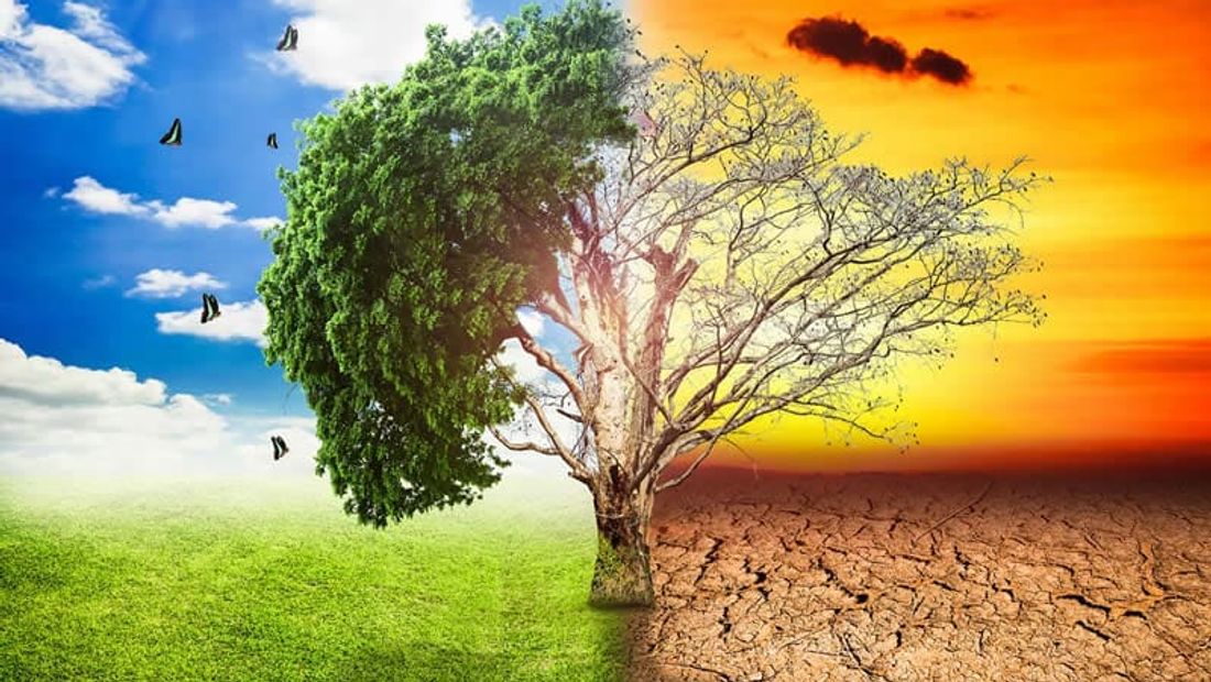 Aforismi sulla morte e frasi di conforto