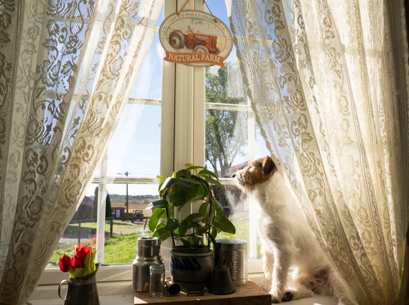 Farm idyll in Norway
