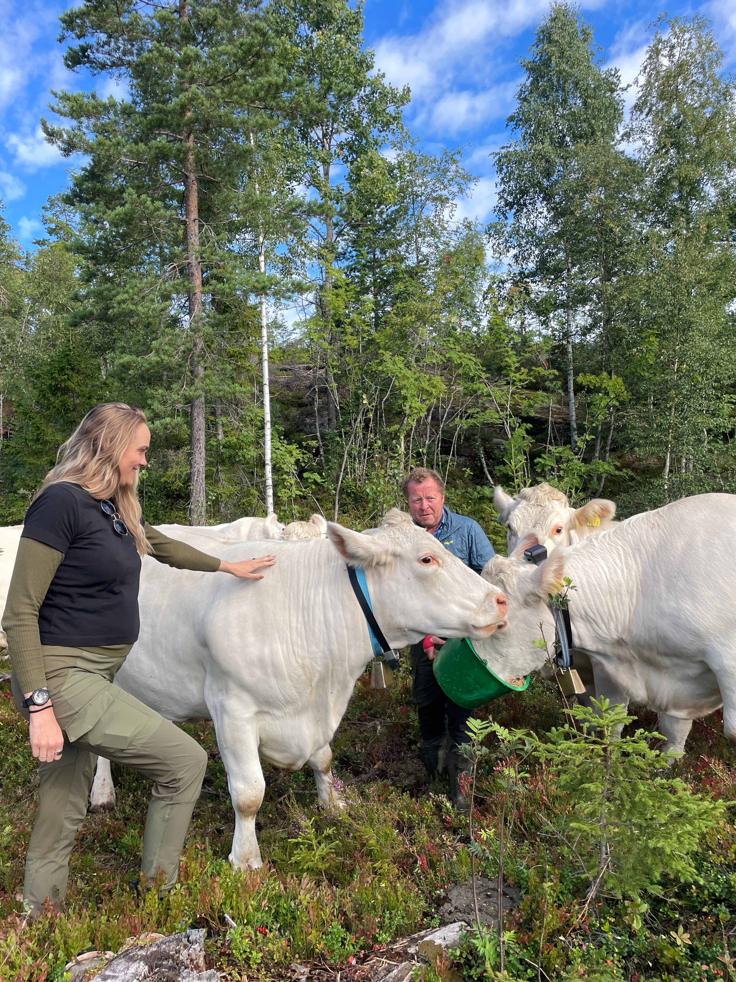 Storfebonden med noen av de fine dyra sine. 