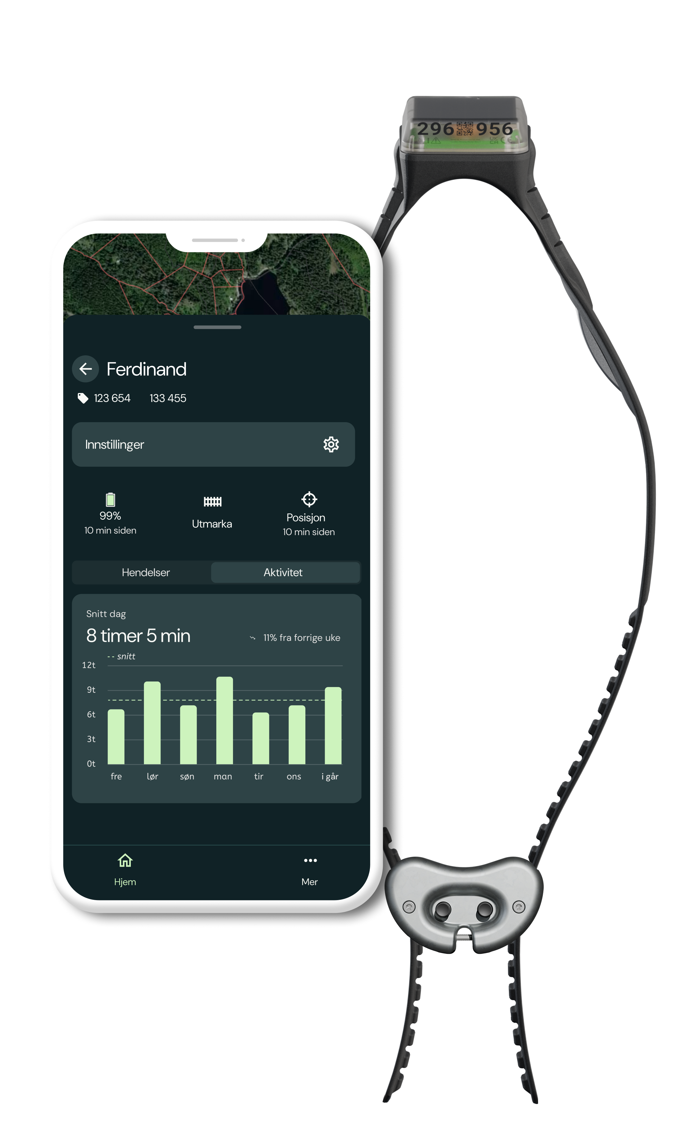 virtuelle gjerder sau og storfe