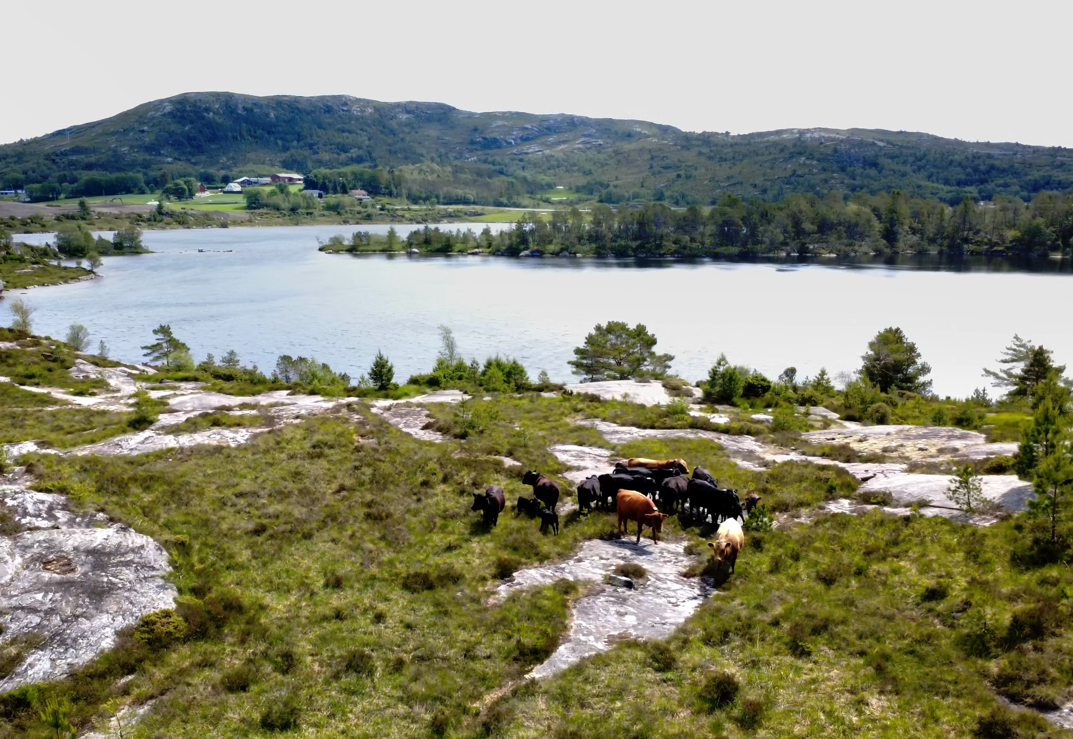 Monil Farm β gΓ₯rdsΓΆversikt