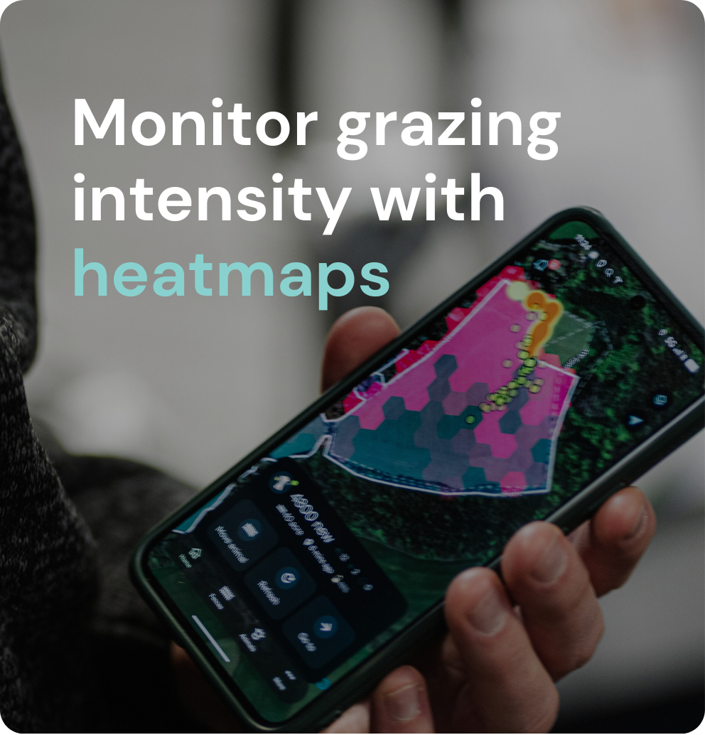 Monitor grazing intensity with heatmaps