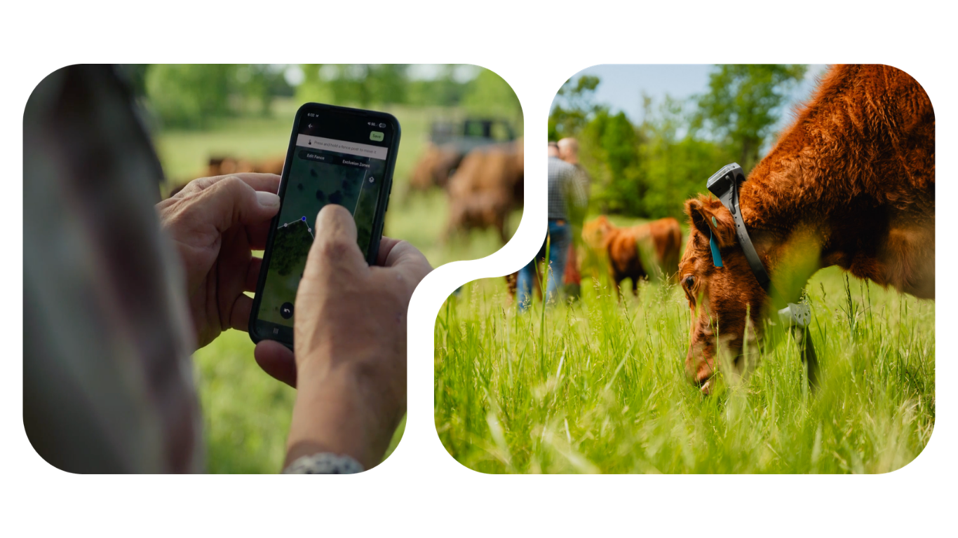 The Monil Cattle Collar combines simple, thoughtfully designed virtual fencing with real-time herd insights to help producers get more from every acre.