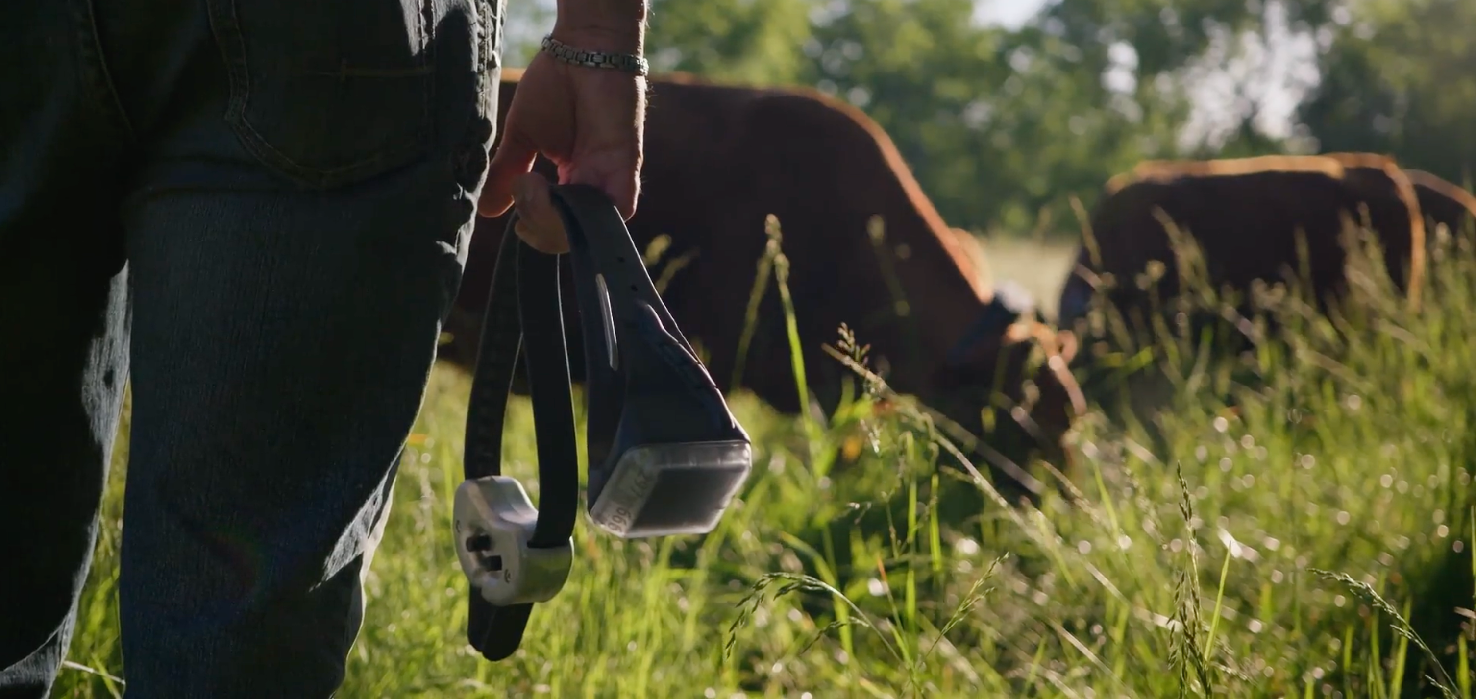 Lightweight, top-mounted collar design