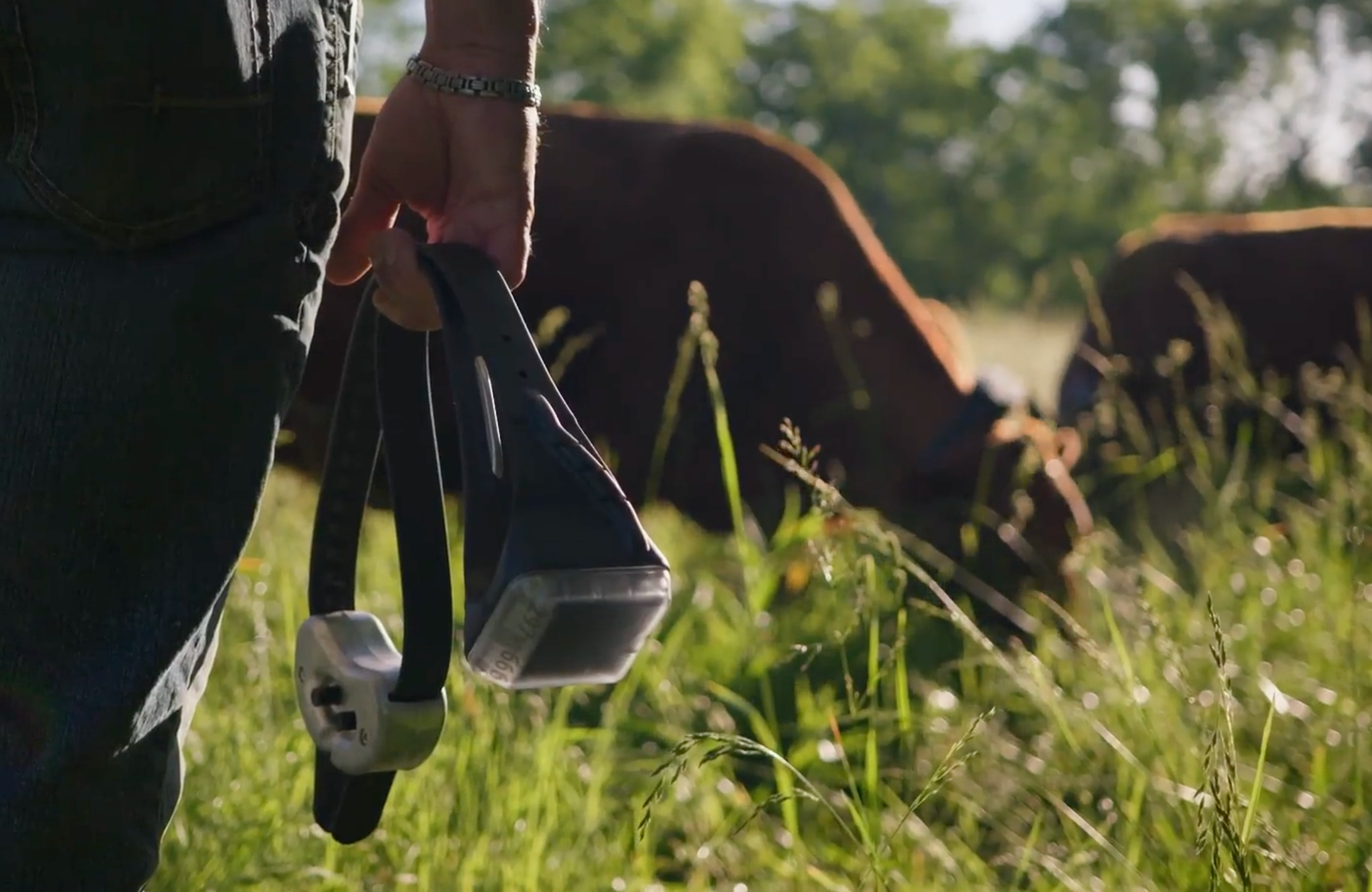 Lightweight, top-mounted collar design