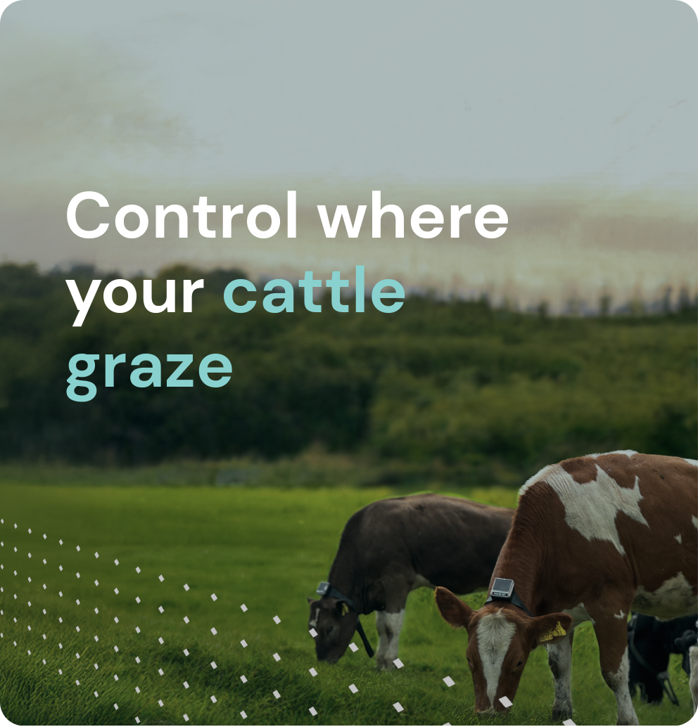 Control where your cattle graze