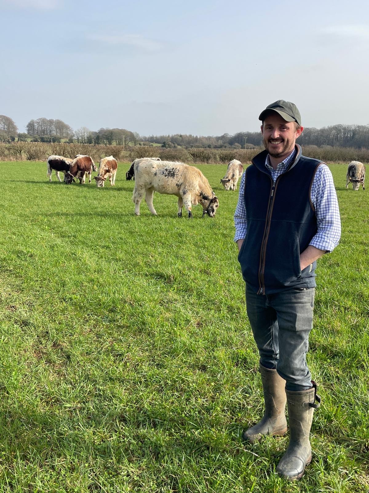 Photo of Ed Franklin and his cows grazing behind him, wearing Monil virtual fencing cattle collars.