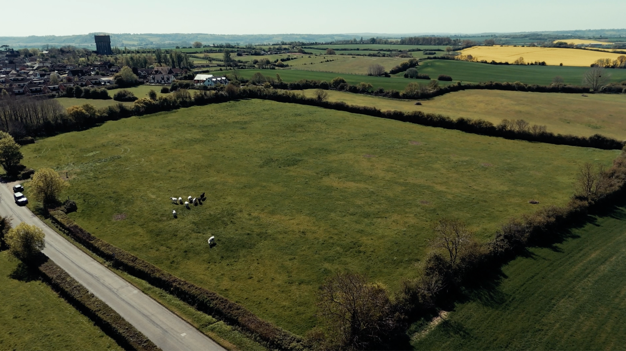 One of Rob Pratt's fields on the Bedfordshire/Buckinghamshire borders
