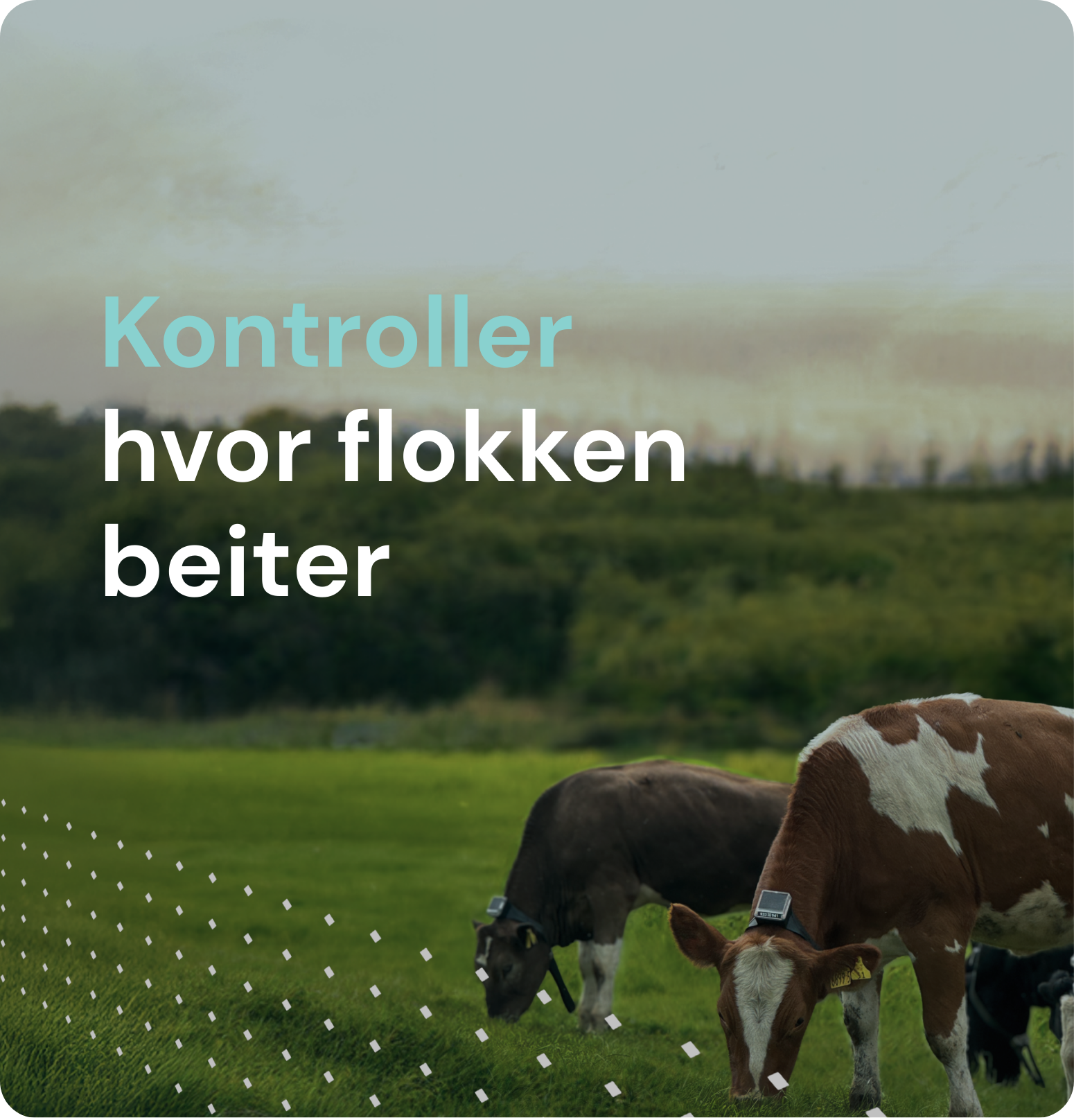 Kontroller hvor flokken beiter