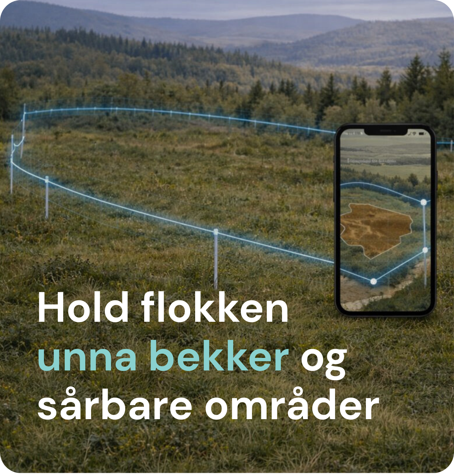 Hold flokken unna bekker og andre sårbare områder