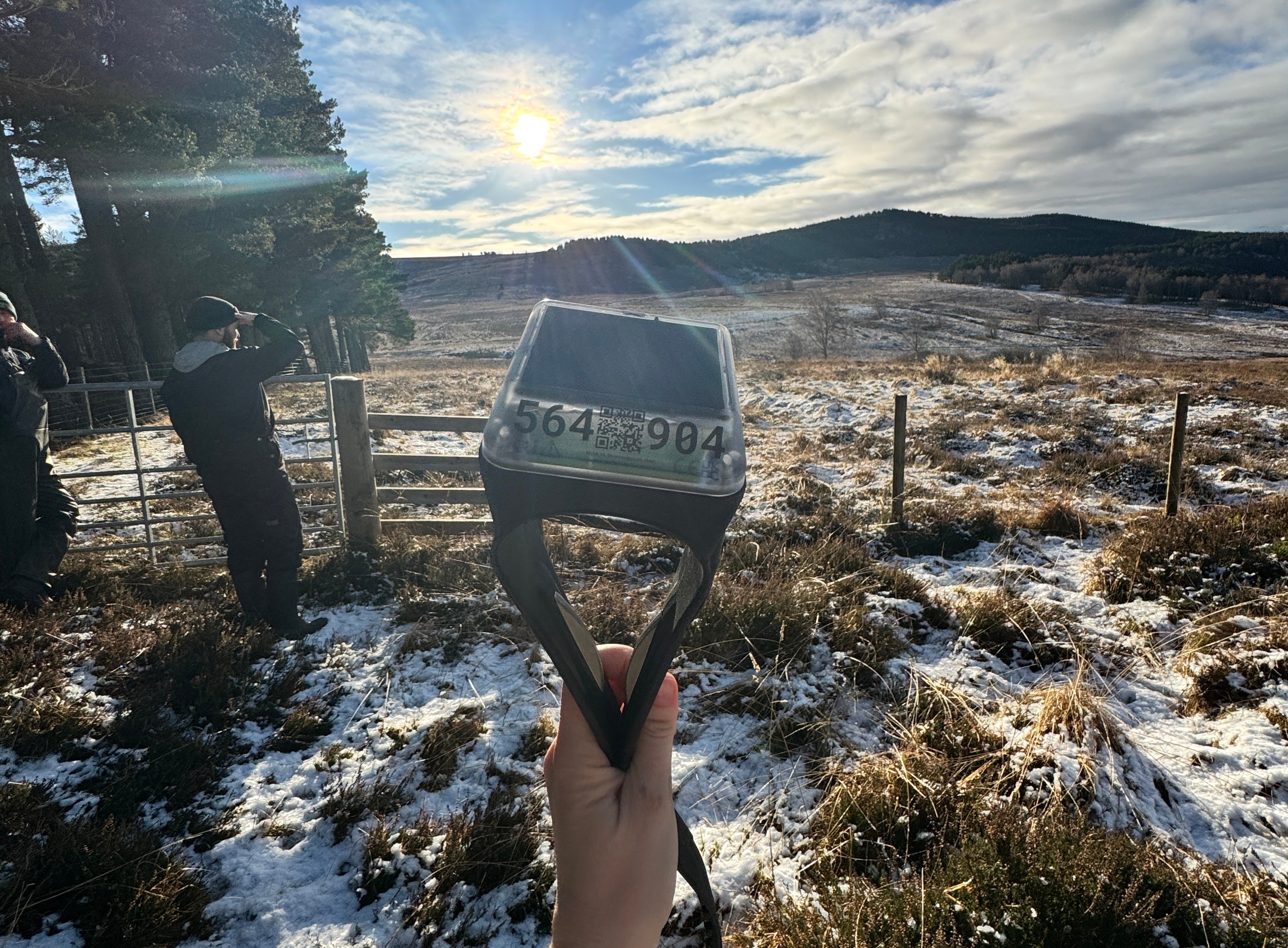 monil collar against the backdrop of a monitor farm 