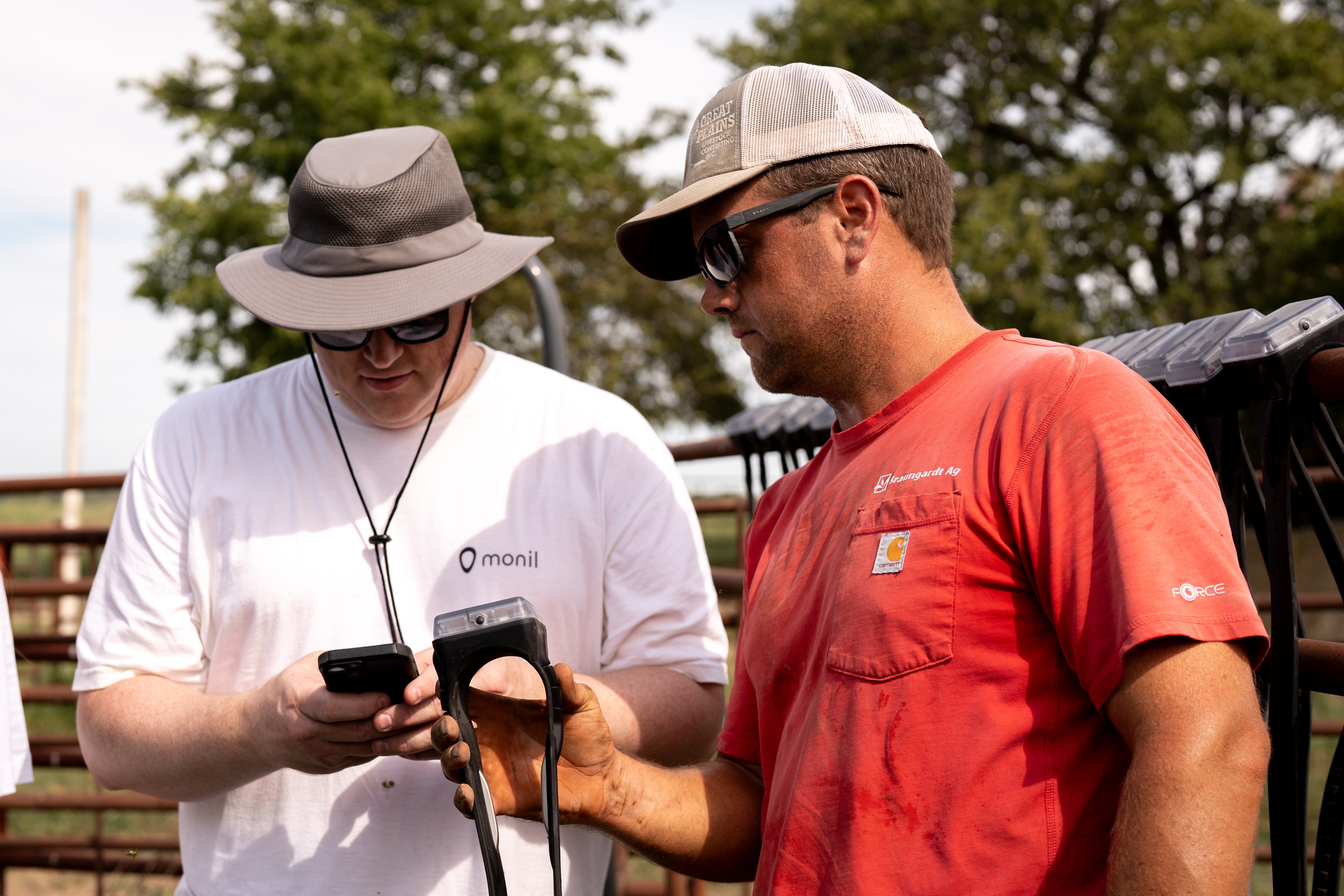 Gavin Talmadge adds a Monil collar into the app alongside a Monil Farmer Success representative at Talmadge Farms near Rosendale, Missouri.