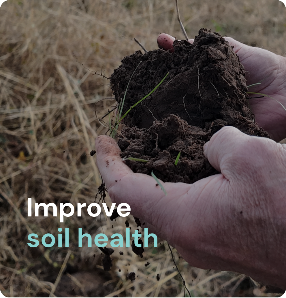 Improve soil health