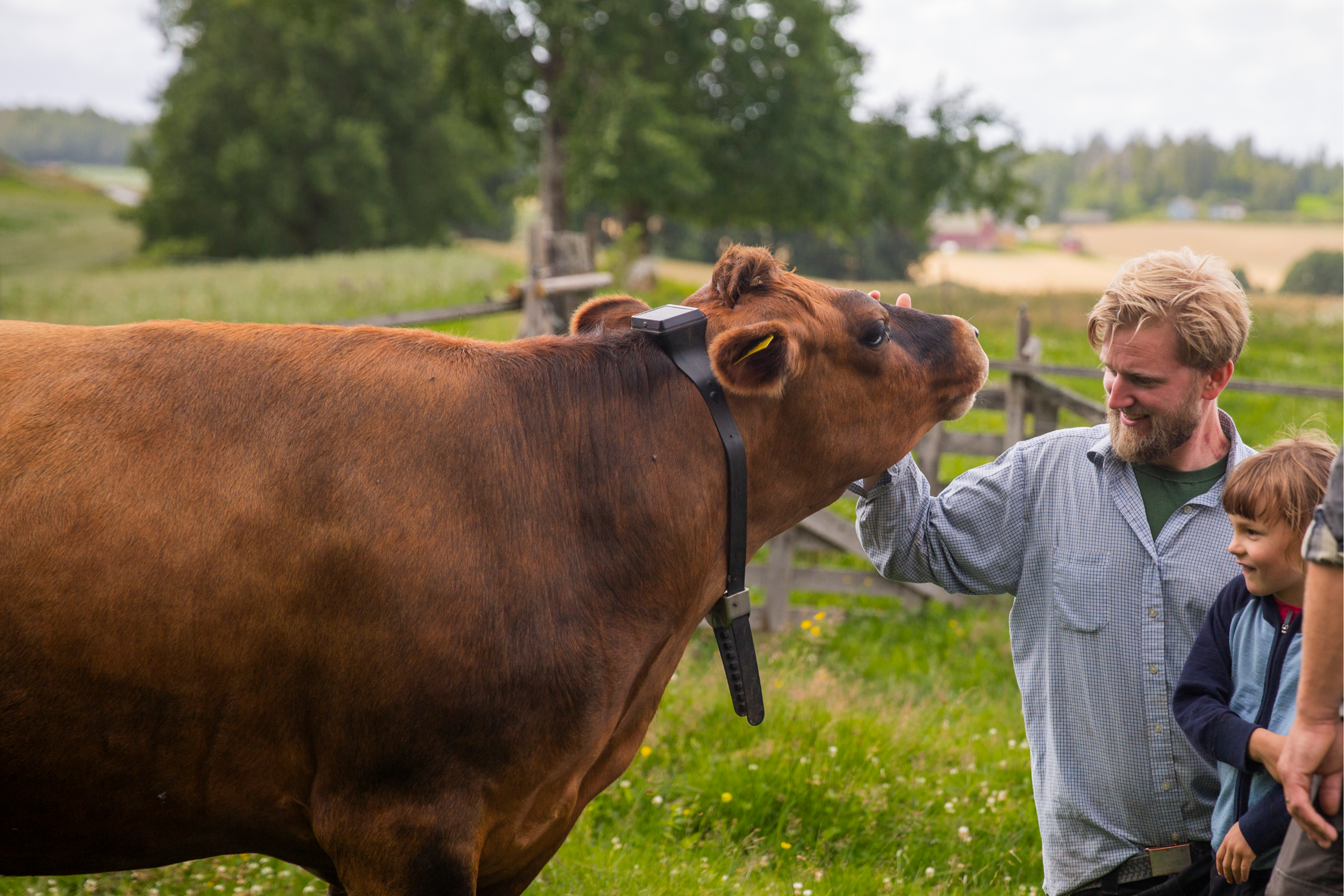 Monil app and monil collar in use