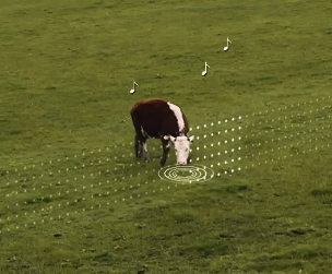 Directional audio cues for fence precision