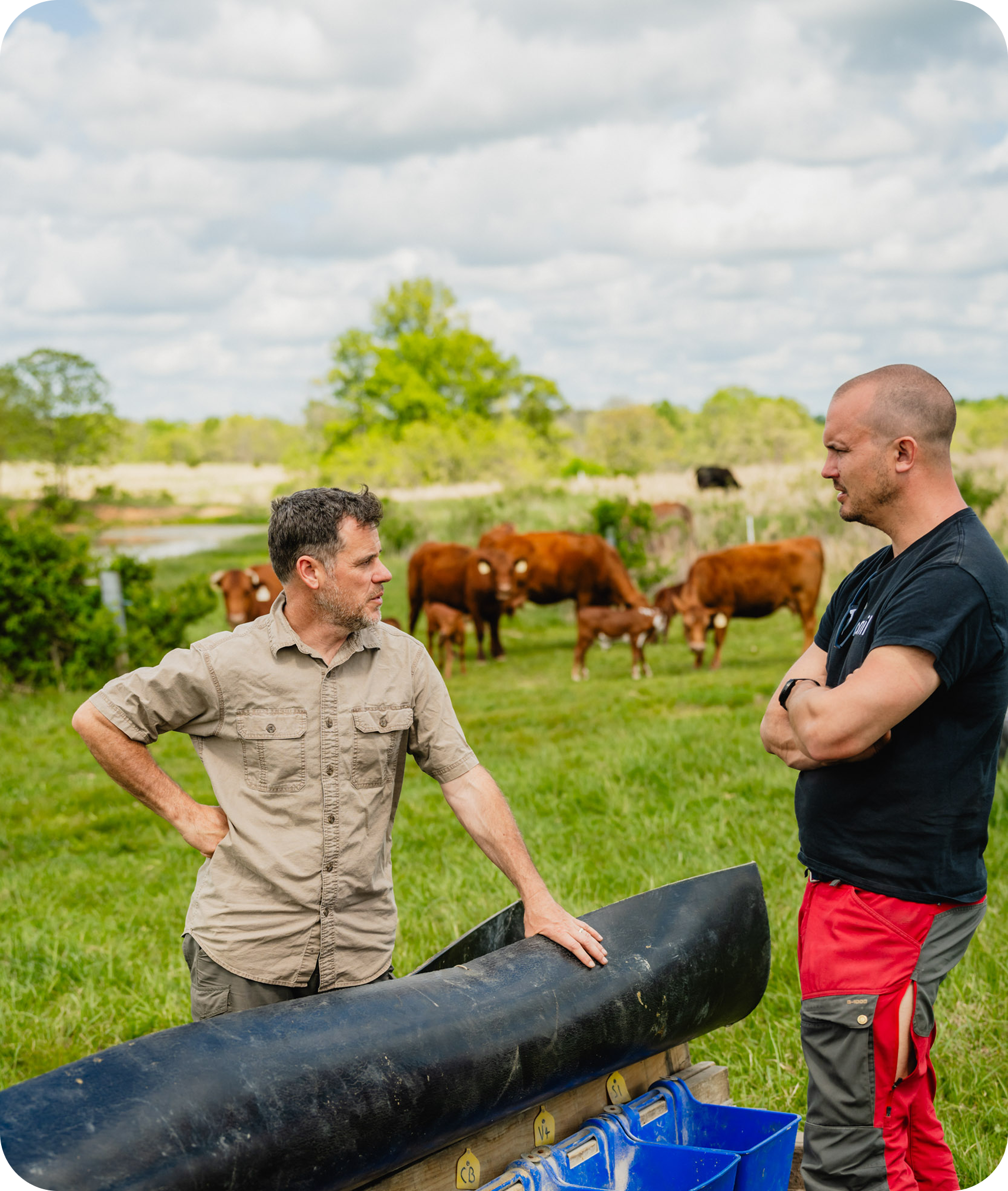 farmers talking about monil