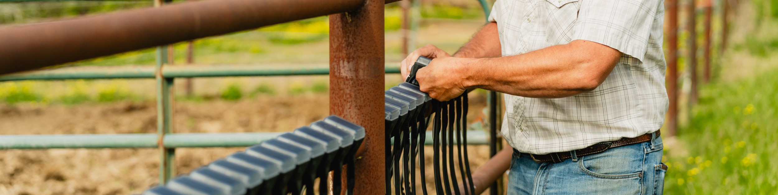 Man getting ready for the grazing season with virtual fence collars 