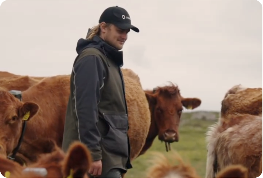 Person on phone placing grid