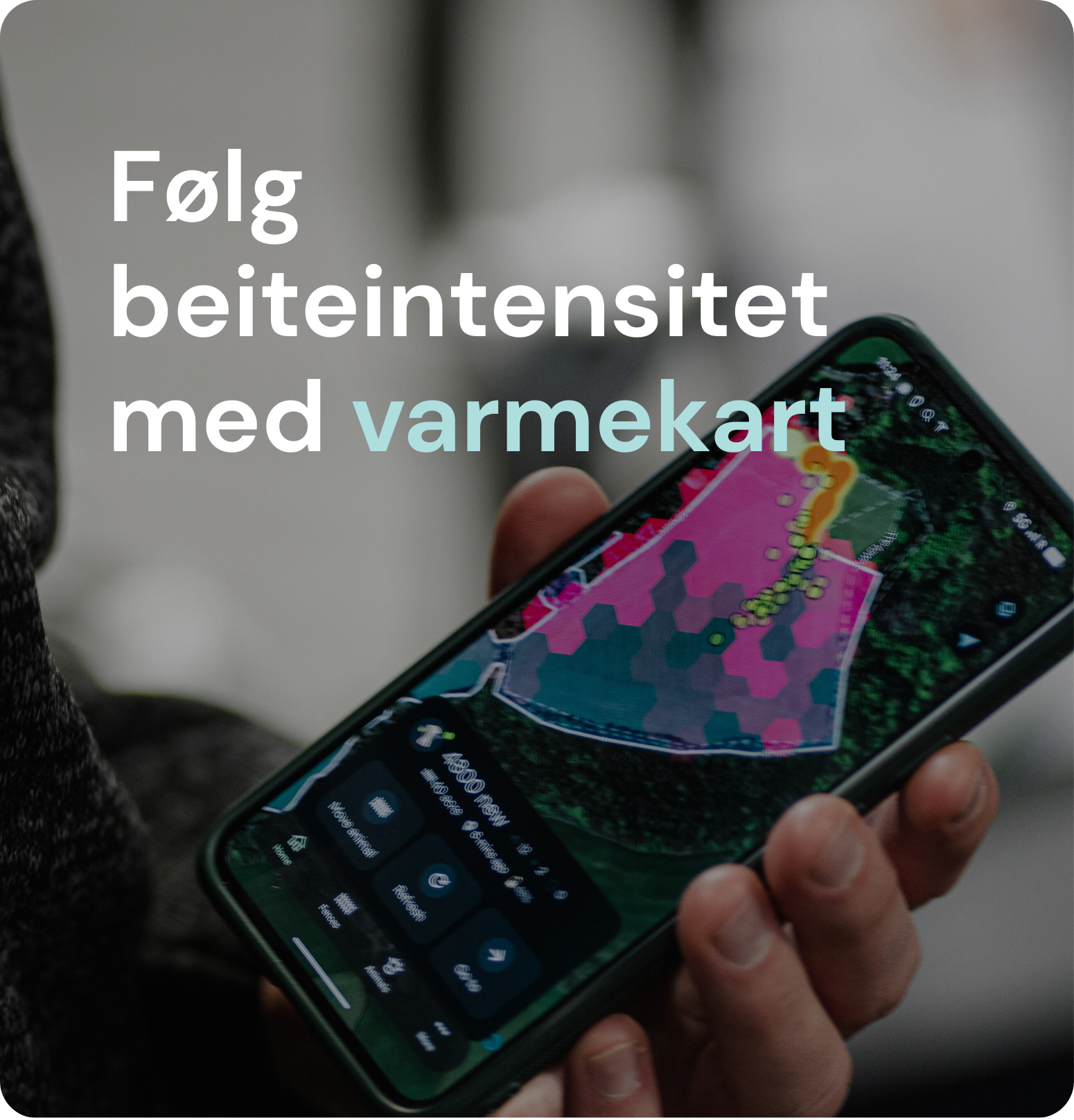 Følg beiteintensitet med varmekart (heatmaps)
