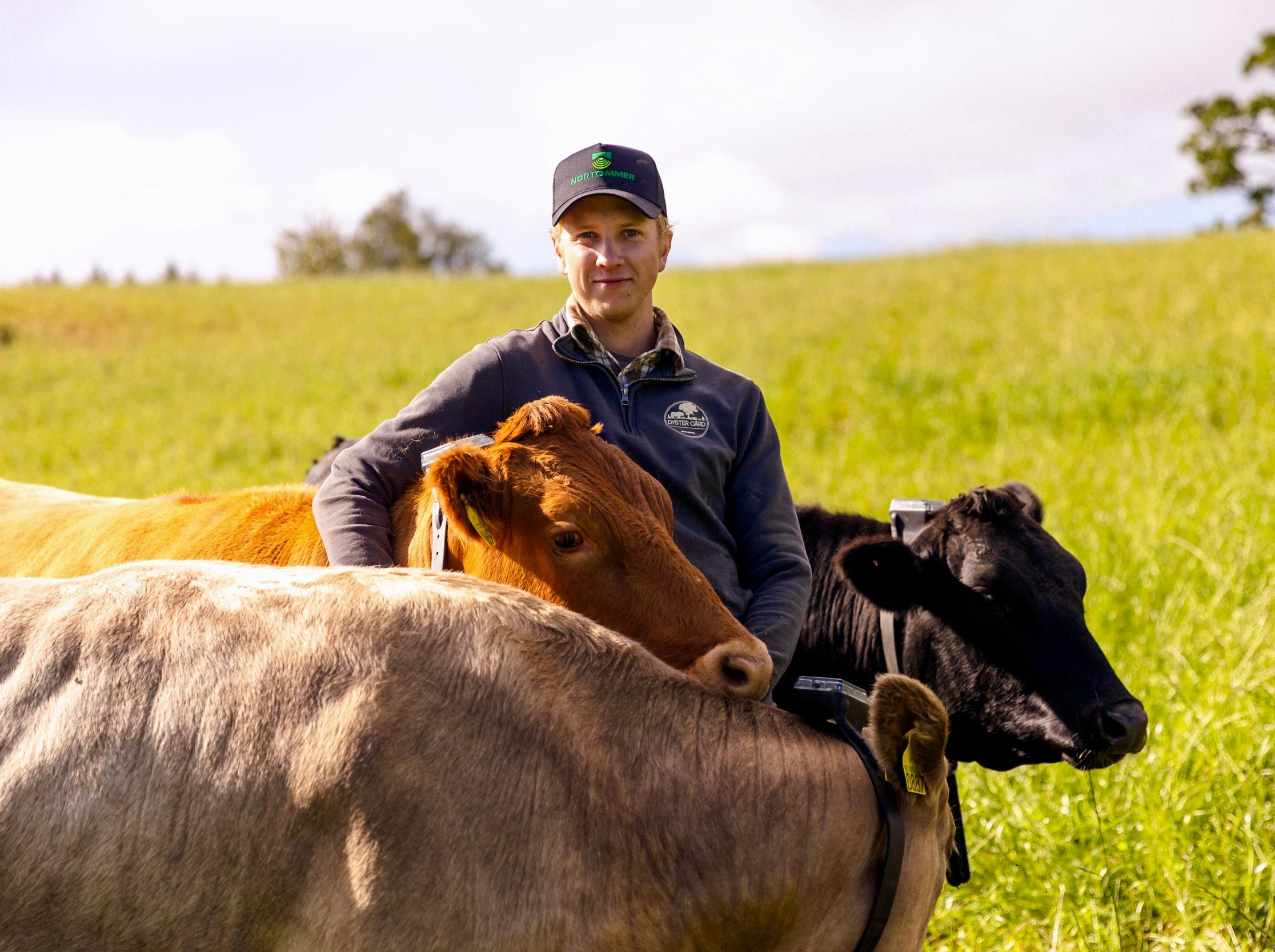 Monil hjelper bønder med effektiv beiting
