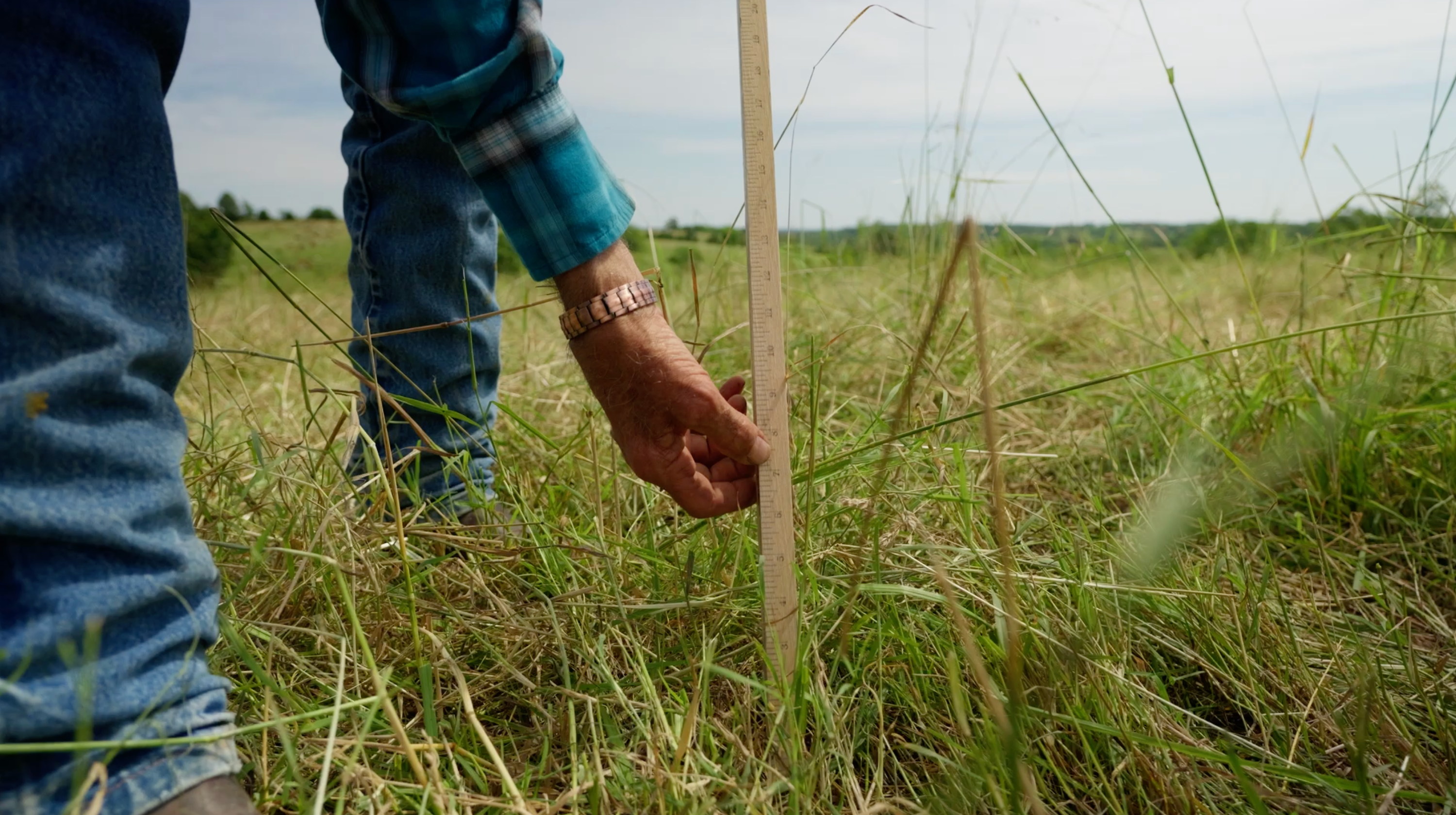 Monil helps producers make better use of available forage, extend grazing seasons and reduce purchased feed and hay