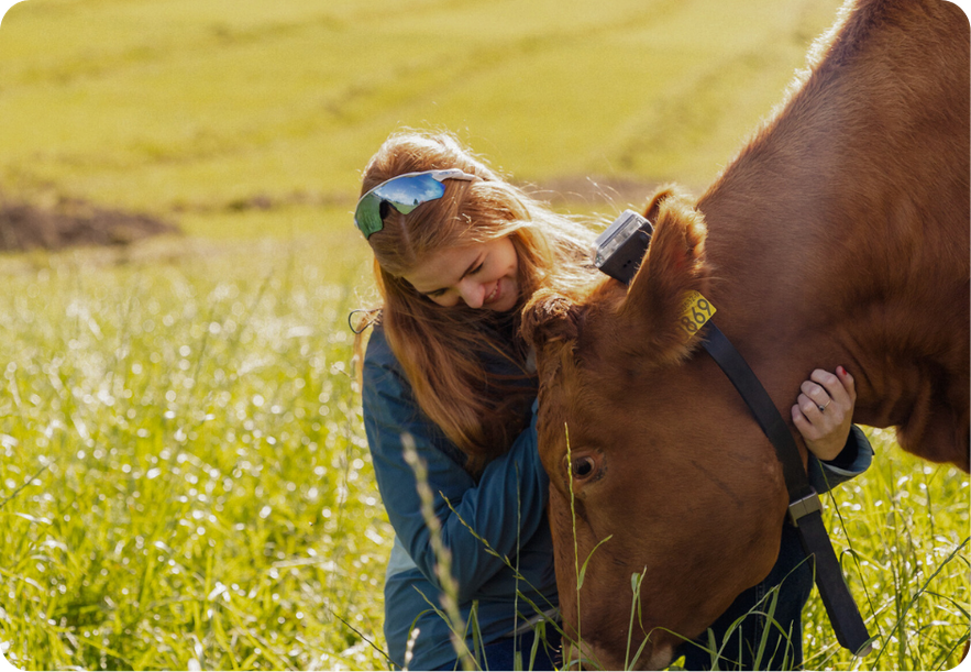 nikki and cow 