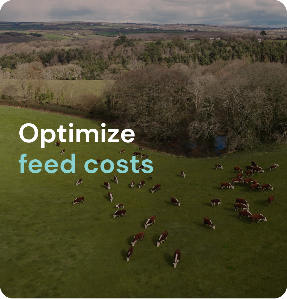 Optimize feed costs