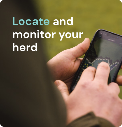 locate and monitor herd