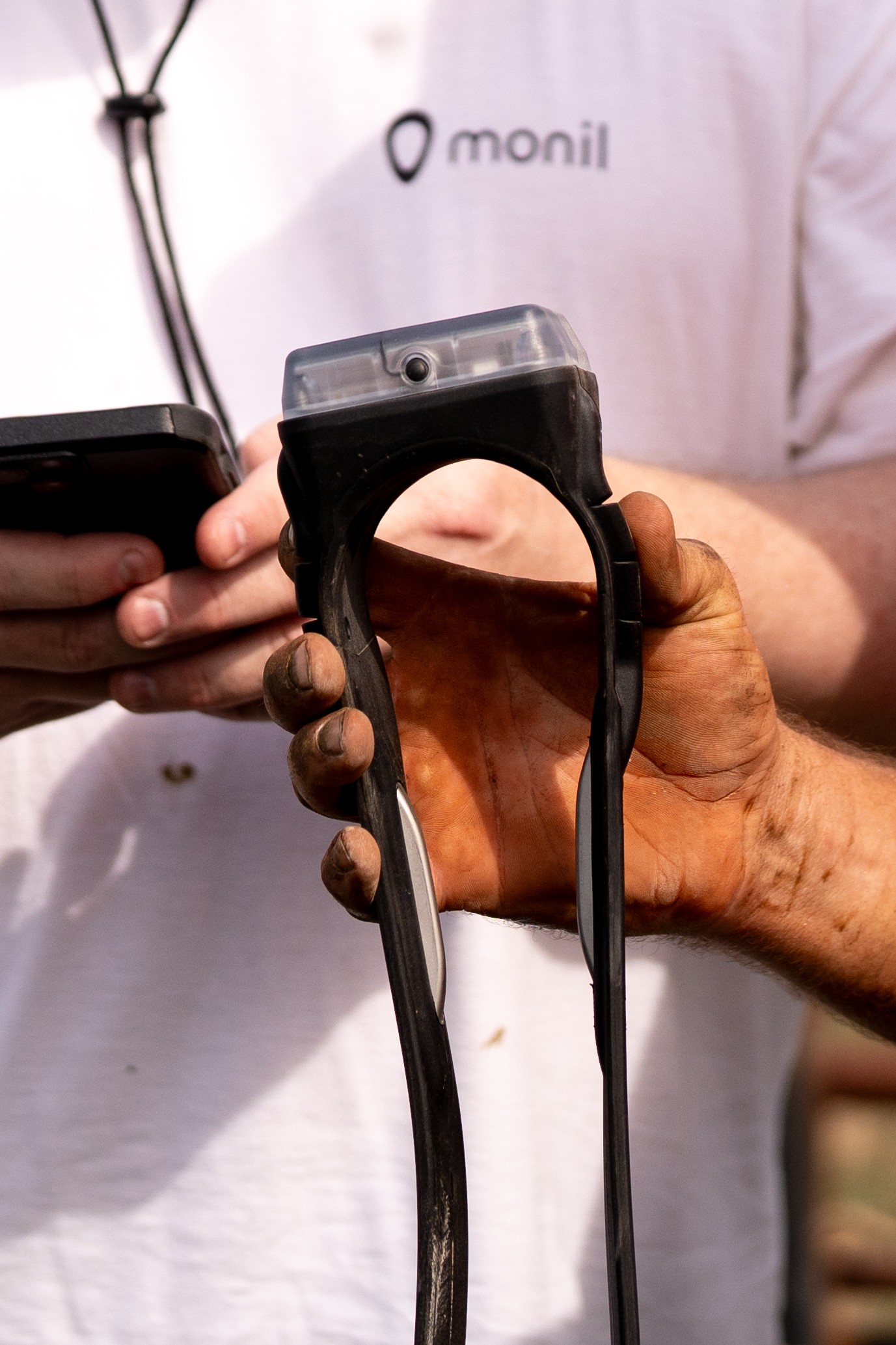 collar in farmer hands
