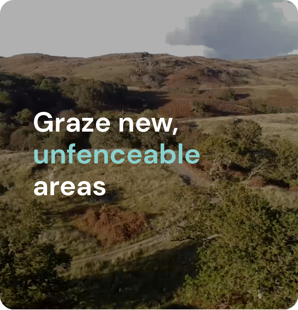 Graze new, unfenceable areas