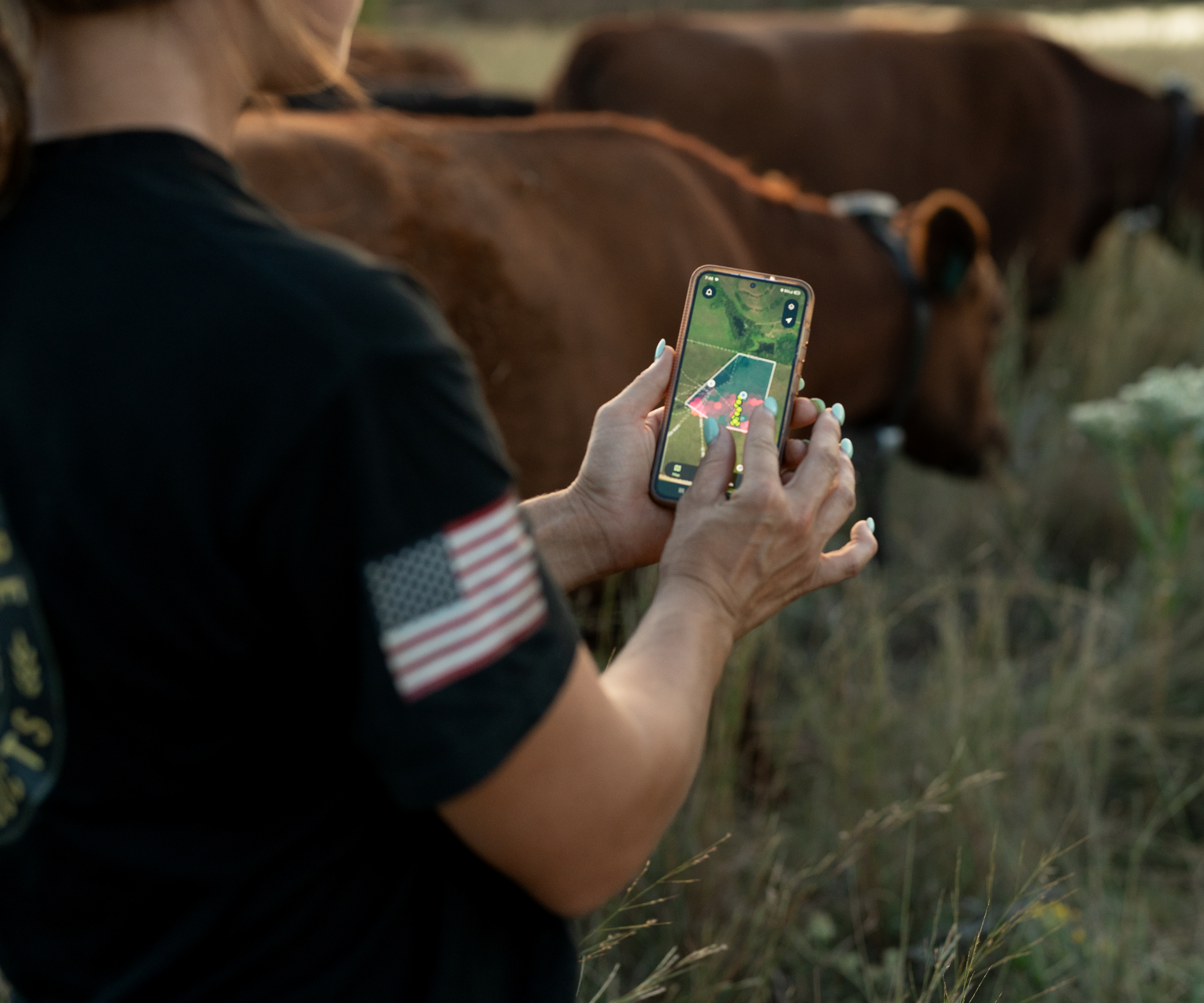 Virtual fencing & pasture moves