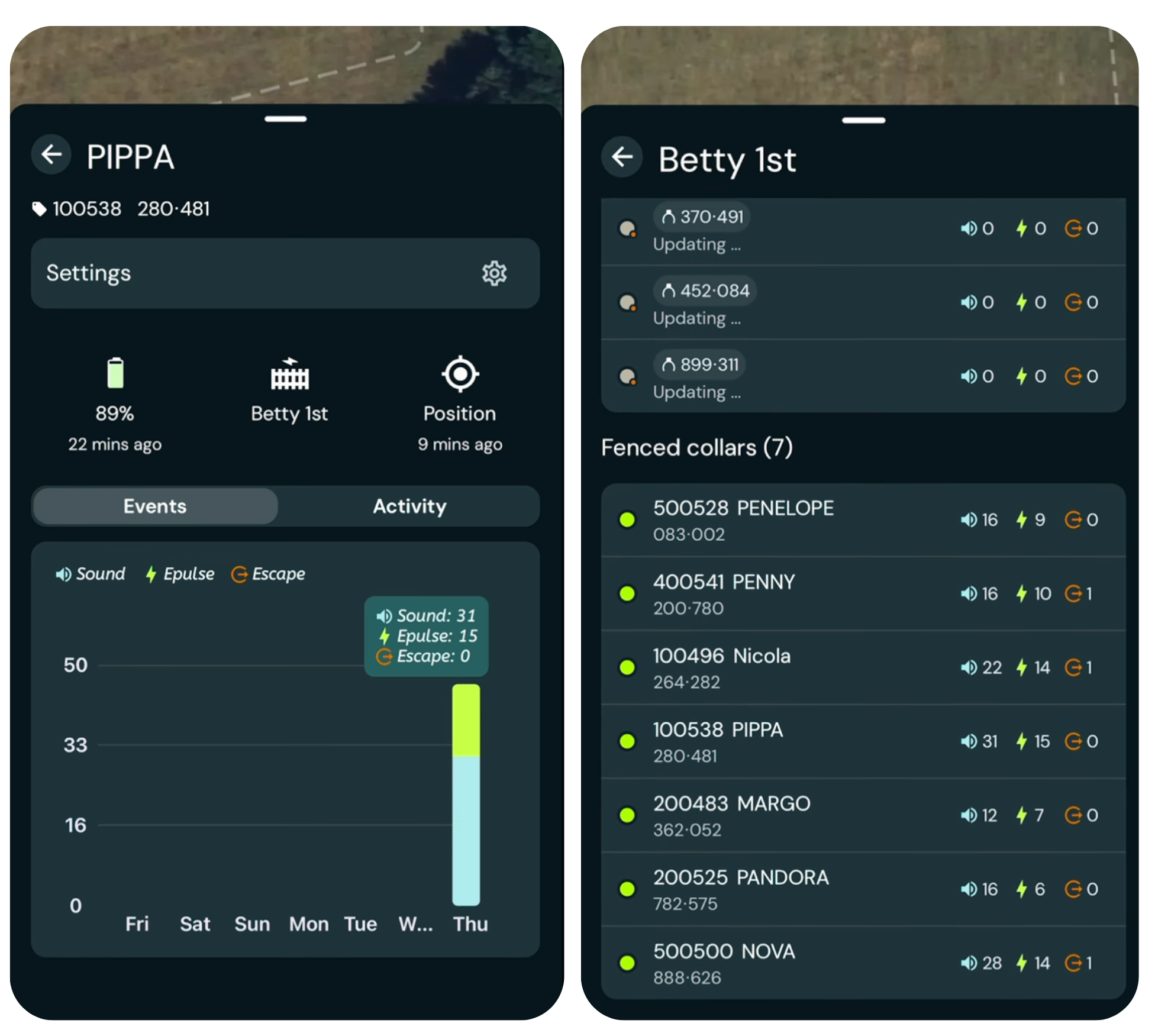 Screenshot of Monil Virtual fencing app that shows where Harriet has created her fence line. The green dots are the cattle and the highlighted areas along the fence is where the cows have heard noise and the orange is an escape. Then the screen that shows the activity from one cow "Pippa" that shows battery %, updates on her position and how many sounds, shocks and escapes. The next image shows Betty 1st fence and all the cattle within and how many sounds, shocks and escapes. 