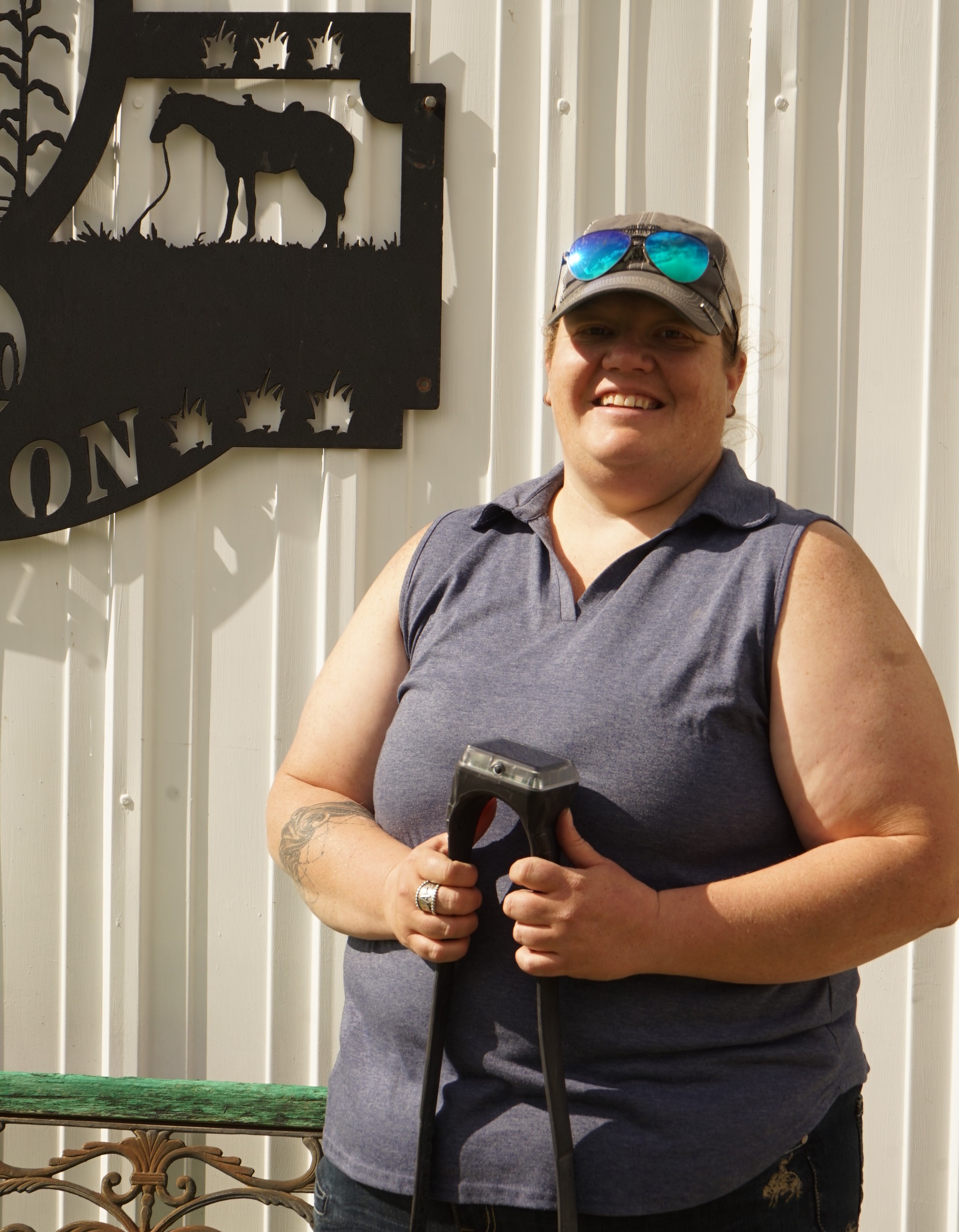 Rancher putting on collar at monil ranch 
