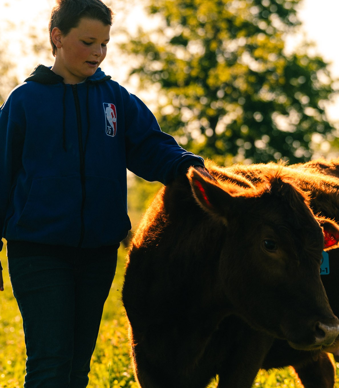 kid-cow
