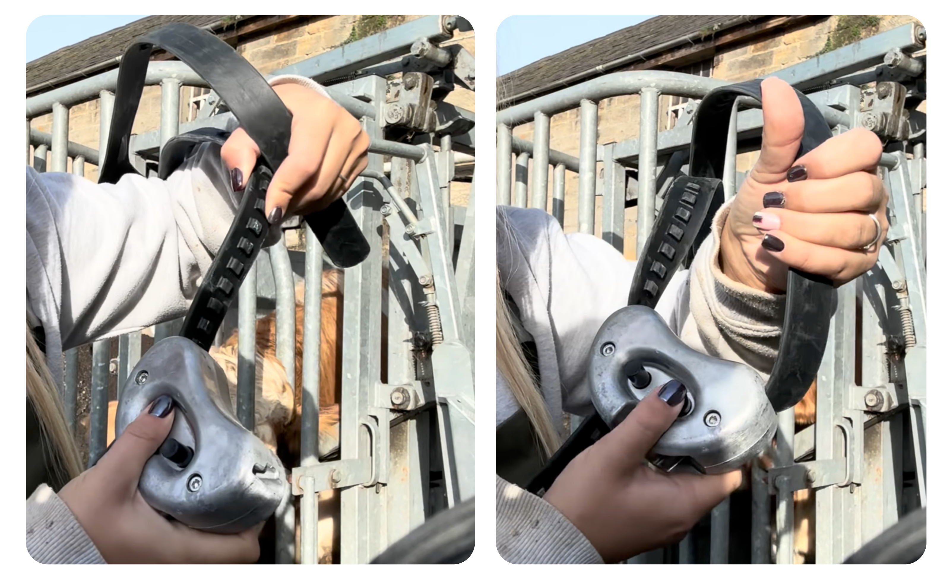Harriet holding the Monil lock which doubles as a counterweight, and the rubber strap system. 