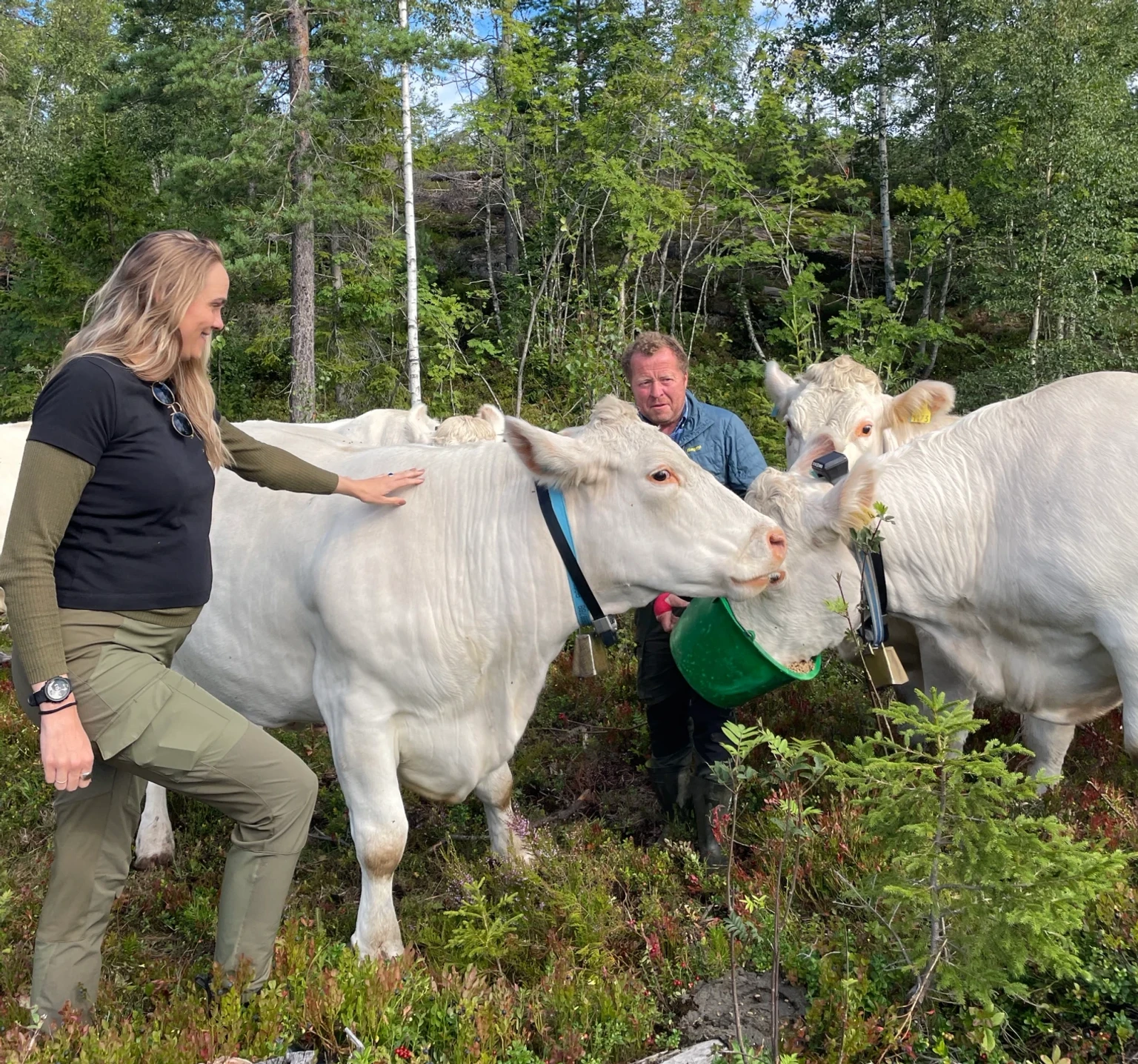 Farmers Put Monil’s Collar to the Virtual Test | Monil
